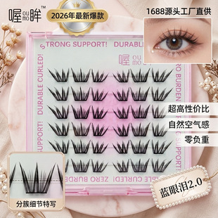 �{�ۜI2.0С��Ƭ�ٽ�ë�|�ρ����Q6�ż�����ë�ֶ����z��̱���