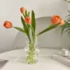 [透明花瓶（手感轻盈不含花）]