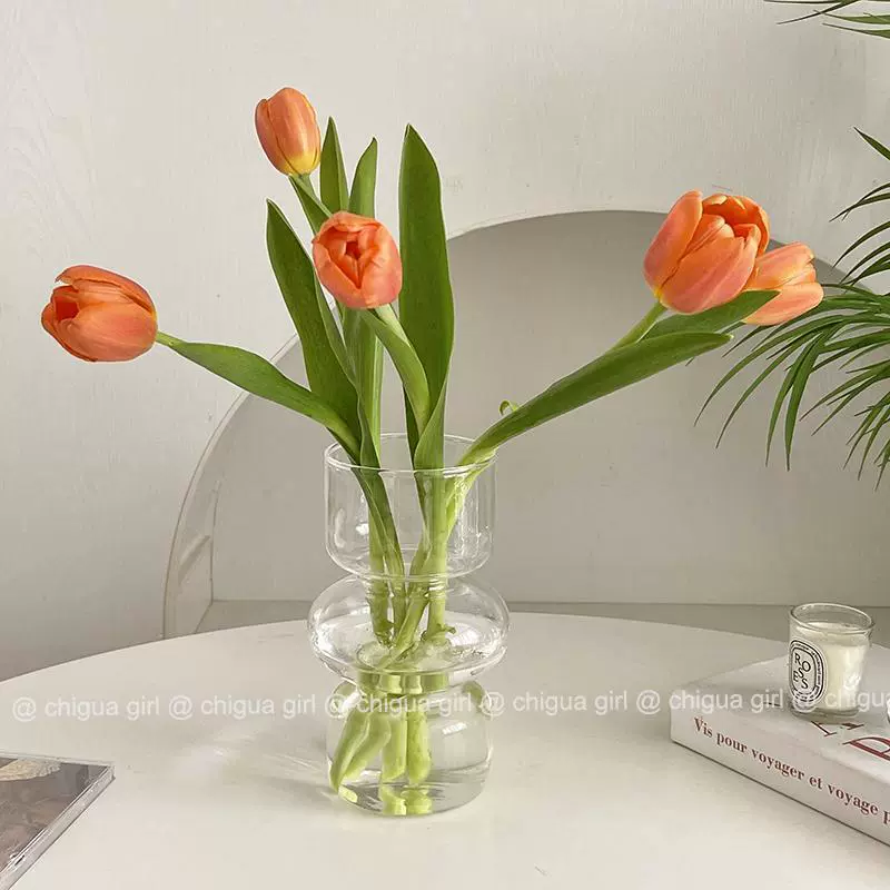 Стандартный и ретро-ретро - старый вазон для стекла Hydroponic flower inserters home decoration props
