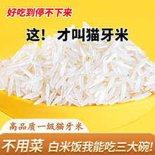 猫牙米长粒香大米2023年新米泰国香米丝苗米煲仔饭5kg10kg