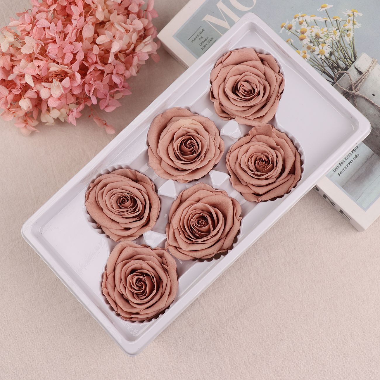 Grado una flor eterna Rosa flor preservada Rosa flor seca 5-6cm exportación calidad Yunnan fábrica al por mayor