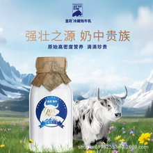 红原菊乐-圣舟有机牦牛乳低温巴氏奶富含多种维生素190ml*1