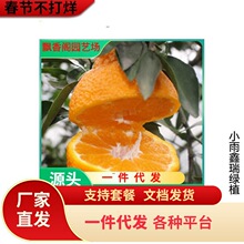 ��Ʒ�N��Ƥ�۽��� ����һ̖��������������� �޽ӟo���۽��Ә���