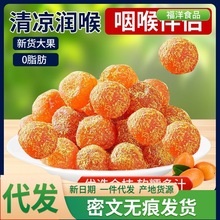 �ʲݽ��������ɽѩ��500g���b�����Ӹ����T������ʳ