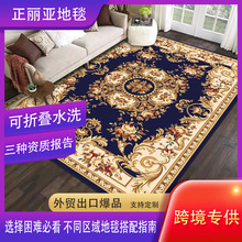 跨境水洗底羊绒地毯波西米亚风客厅茶几吸水地毯家用全铺防滑地毯