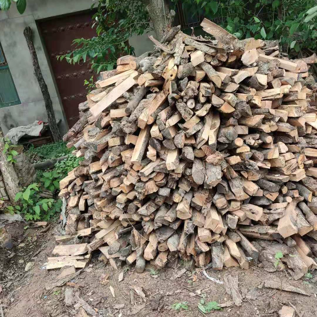 Барбекю, стейк, фрукты, древесина, кемпинг, пикник, костер, уличное дрова, камин, обогрев, древесина