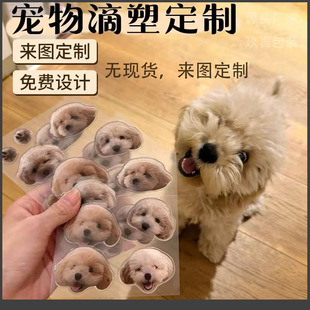 ����ˮ������С���N������diy؈����z�����z�Ȍ���Ƭpvc��ˮ�˺�