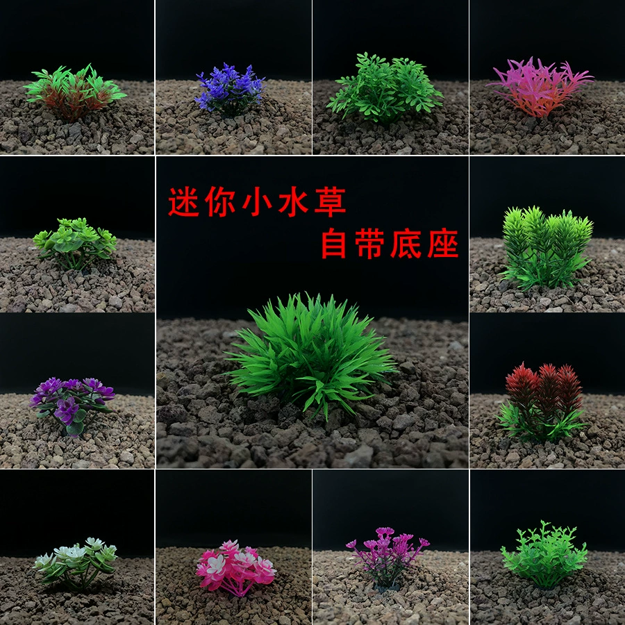 Аквариум ландшафтного моделирования водных водорослей и морских водорослей мясистый мини-с пластиковыми водорослей и микроландшафтными украшением производителя источника