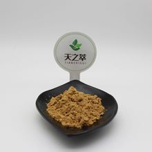 异牡荆素1-20% 蔓荆子提取物源头厂家蔓荆子粉 紫花牡荆素0.5-98%