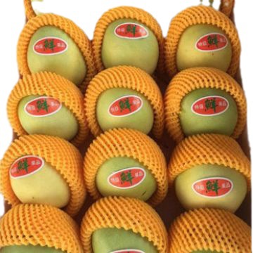 富士生产 EPE发泡网设备 珍珠棉设备生产线生产厂家 ce认证