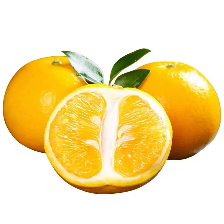 Фуцзяньский золотой грейпфрут, свежие фрукты, сочный, не дыня, помело, большие фрукты, Тайвань, сладкие фрукты, грейпфрут, целая коробка, 5kg г., бесплатная доставка