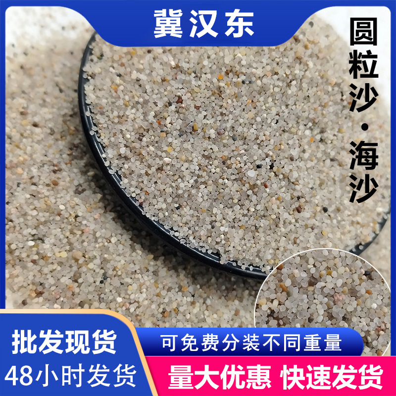 海沙圆粒沙儿童娱乐水晶沙无尘水洗沙规格齐全人造沙滩砂现货批发