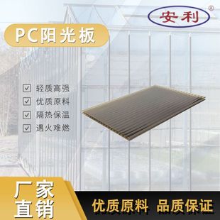 Amway Brand pc Hollow Board Indoor Spacer Baffle Double-layer Transparent pc Sun Board