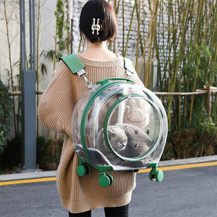 Acrylic pet carrier suitcase, handheld with telescopic handle and wheels, ventilated, waterproof