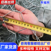 ����\�F�z�W䓽z�����W�Bֳ�u���rţ����@���W�B���F�W���h���W