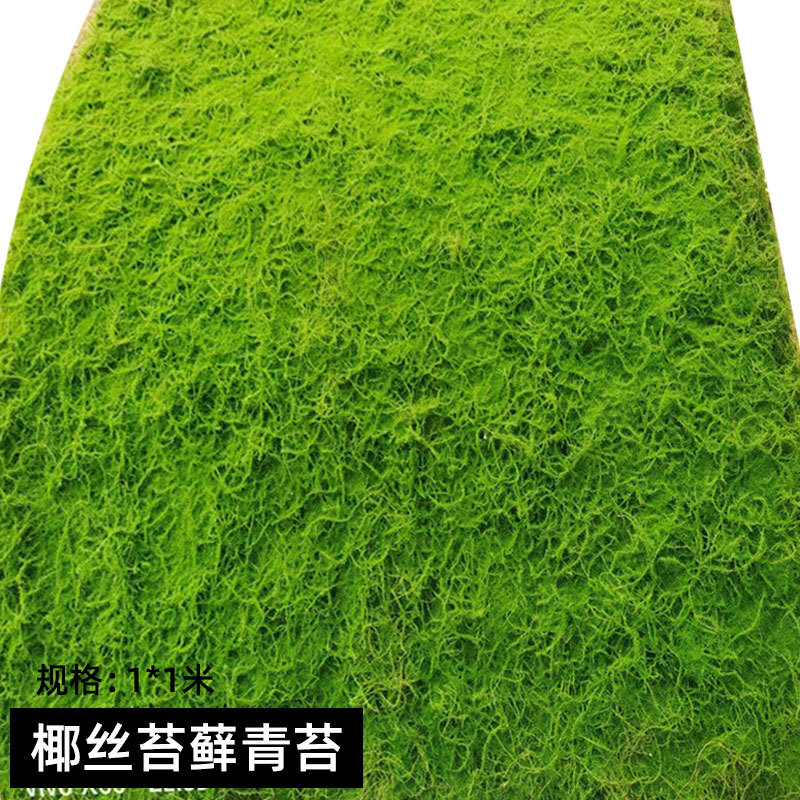 椰丝苔藓1_1米.jpg