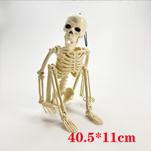 �羳�f�}���ֲ����t���^ �������҈��ز����������t�����P���Ʉ�