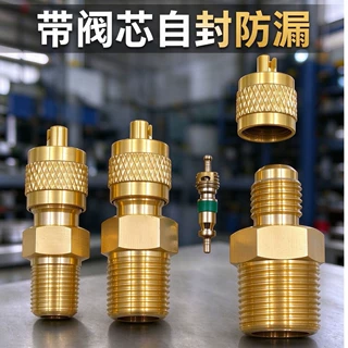 黄铜充液阀定制充液阀液压充液阀螺纹充注阀单向顶针阀非标黄铜阀