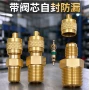 定制单向液压螺纹黄铜阀