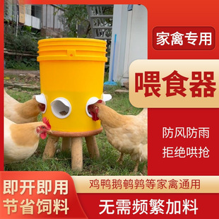 Automatic Chicken Feeder, Poultry Feeding, Bird-Proof Feeding Bucket, Chicken Feeding, Chicken, Duck and Goose Automatic Feeder