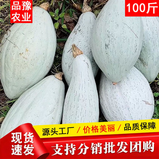 �½�ԭ�a���F���ϹϷ�Ŵ�����y�������Ϲ�һ�����l��Ȼ����Ʒ�N