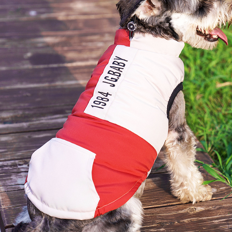 Oso de peluche de dos patas Bomei chenari Chaleco de perro pequeño Ropa de perro mascota transfronteriza engrosada Otoño e Invierno