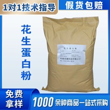 供应食品级 花生蛋白粉 花生蛋白粉 营养强化剂原料1kg