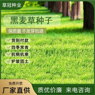 �ͺ��ͺ������������ݲݷN�����o�;G�����B�ޏͲ��ѷN������