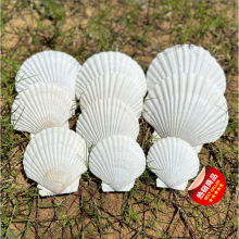 wɫֹ̖ؐL׃@ˇƷîؐ