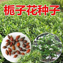 ���ӻ������ļ������׻��ֲ�������߲ʻ����ݻ������Ի�������