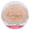 DS24