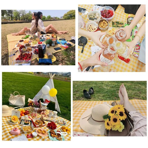 Moisture-proof mat for spring outings, picnic pad, outdoor moisture-resistant, portable, waterproof camping mat, and outdoor cooking ground mat
