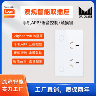Graffiti WiFi smart Australian gauge socket metering Alexa voice zigbee Australian standard double socket