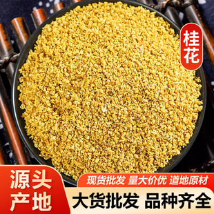  ɹ𻨺ɹݲșĹ ]ĥă