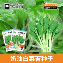 ߲˷NӹSlͰײ̦NļחUķNԲ޷