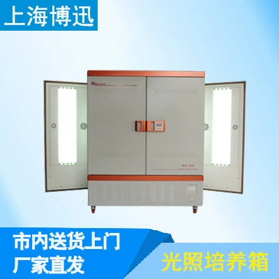 Шанхай Босун BSG-800 легкий инкубатор