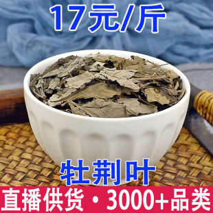 ĵ�G�~  ĵ�G�~ �G�~ �S�G�l �S�G�� �G�l�� ��ָ�����l���l