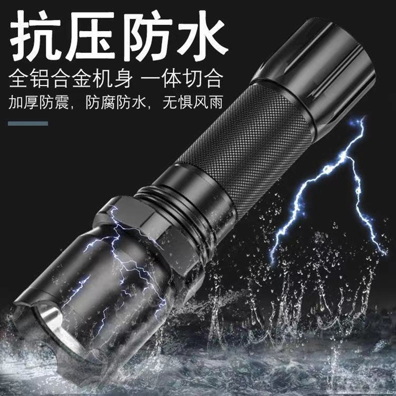 Reprehenderit qui in ea