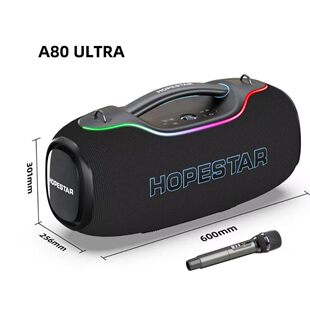 Handheld speakers, waterproof travel microphone, bluetooth, high power