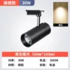 [黑壳-暖光_升级加亮款30W【1只装】]