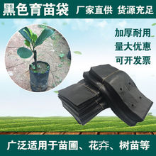 育苗营养钵黑色塑料袋加厚营养袋果树苗蔬菜专用一次性种植容器