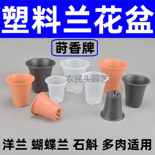 �����P���m����ʯ�������m�A�οظ�������͸���������͸���f����