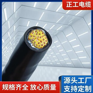 KVV/KVVP22 �~о������ϩ�^�����o��䓎��z�b������|�S��ֱ�N