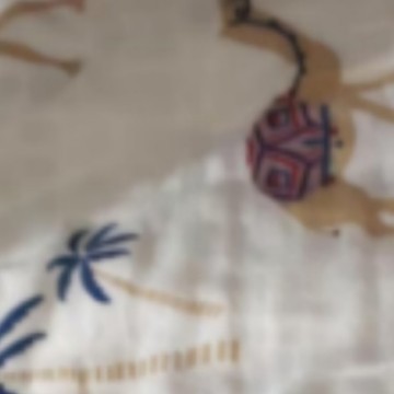 사막의 낙타