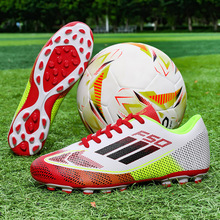 ����������ЬF50 TF�����ͯ�W��������ĥ����݌��I��ِЬ