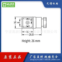 Murr/� �7000-30105-0000000/���|/M12 2+PE����+�ɲ����ľ��|