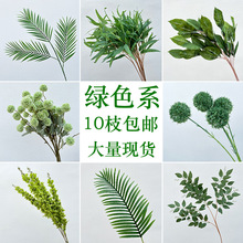 �Gɫ���滨ɭϵ����Gֲ�ٻ��~�ӻ�c�������~��ˇ�b��߼٘��~