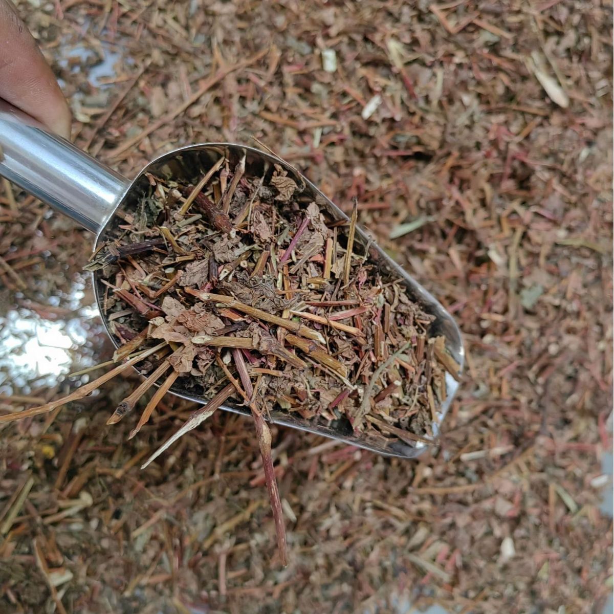 雲火藤泡腳包泡酒包西伯利亞原材料熏蒸吧廠家直供