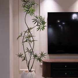 孔雀木招财树仿真绿植电视柜客厅装饰摆件假大型落地盆栽