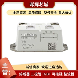 普通晶闸管;IGBT模块;其他二极管